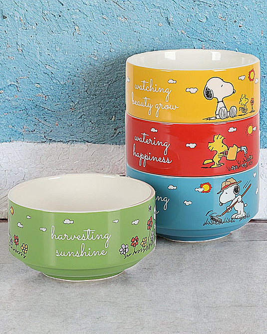 SET BOLWS SNOOPY