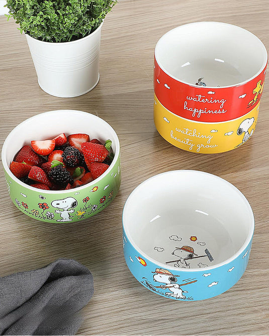 SET BOLWS SNOOPY