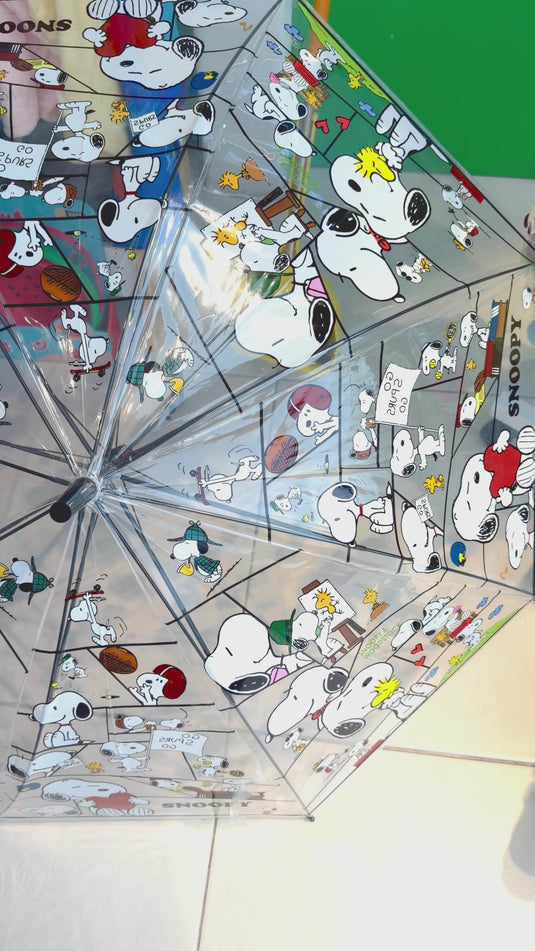 PaRaGuaS VinTaGe SnOoPy 🐶